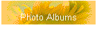 Photo Albums